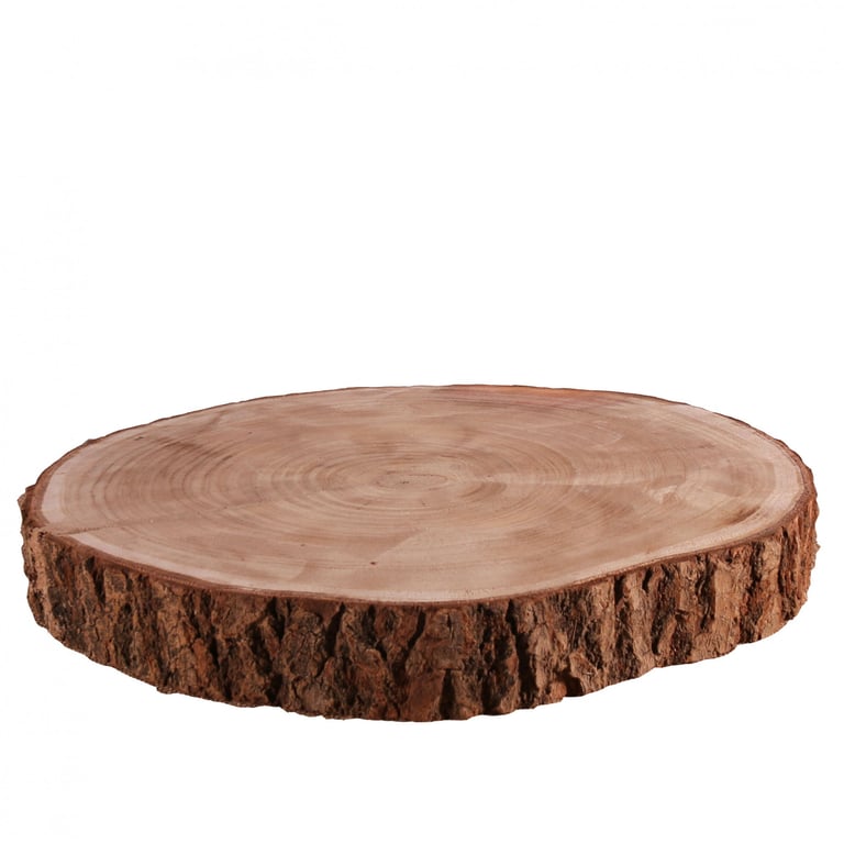 Large Natural Wood Slice - Unique Home Decor & Garden Decoration Wall Art