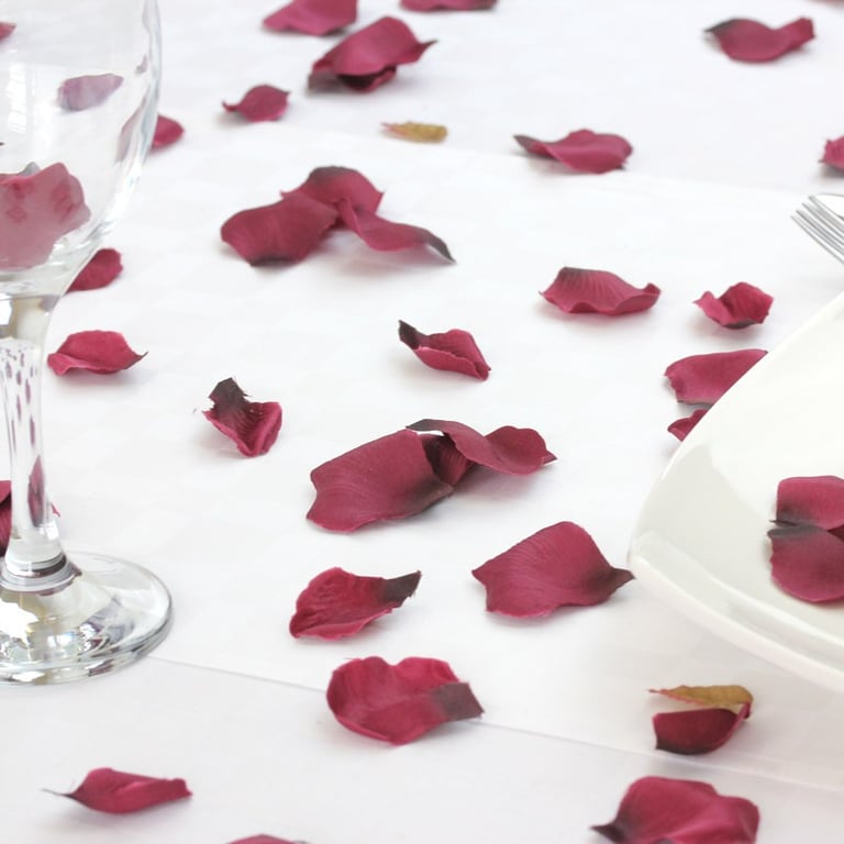 Burgundy Rose Petal Confetti - Elegant Party and Wedding Decorations