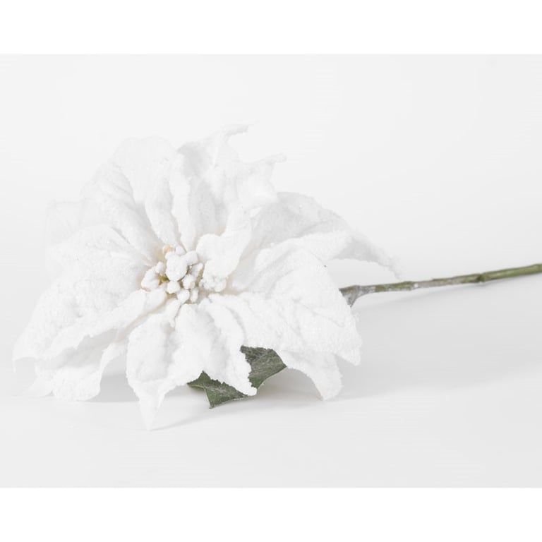 70cm White Single Poinsettia Plant - Holiday Decor