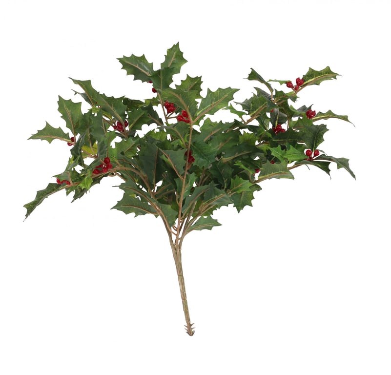 40cm Evergreen Green Holly Bush - Christmas Decoration & Outdoor Garden Plant