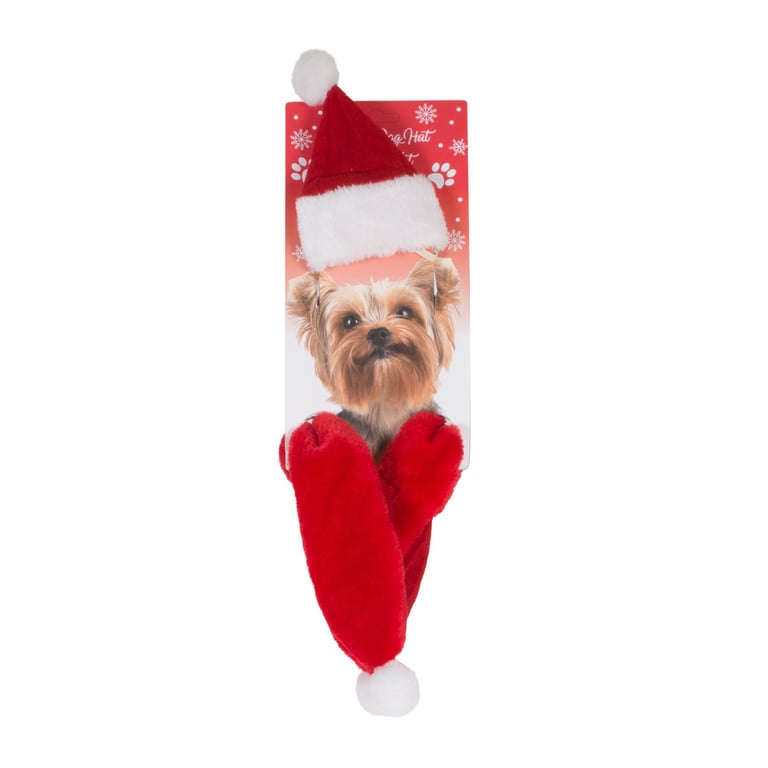Dog Father Christmas Hat & Scarf Set - Festive Pet Wear for Holiday Season