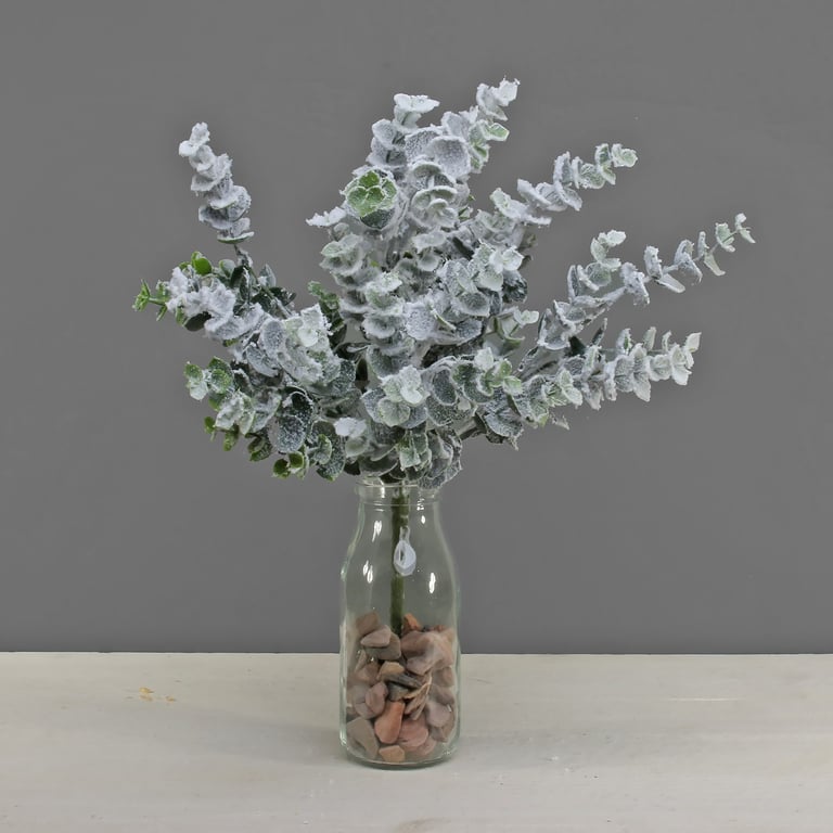 Eucalyptus Bush with Snow - Winter Holiday Indoor Plant Decor