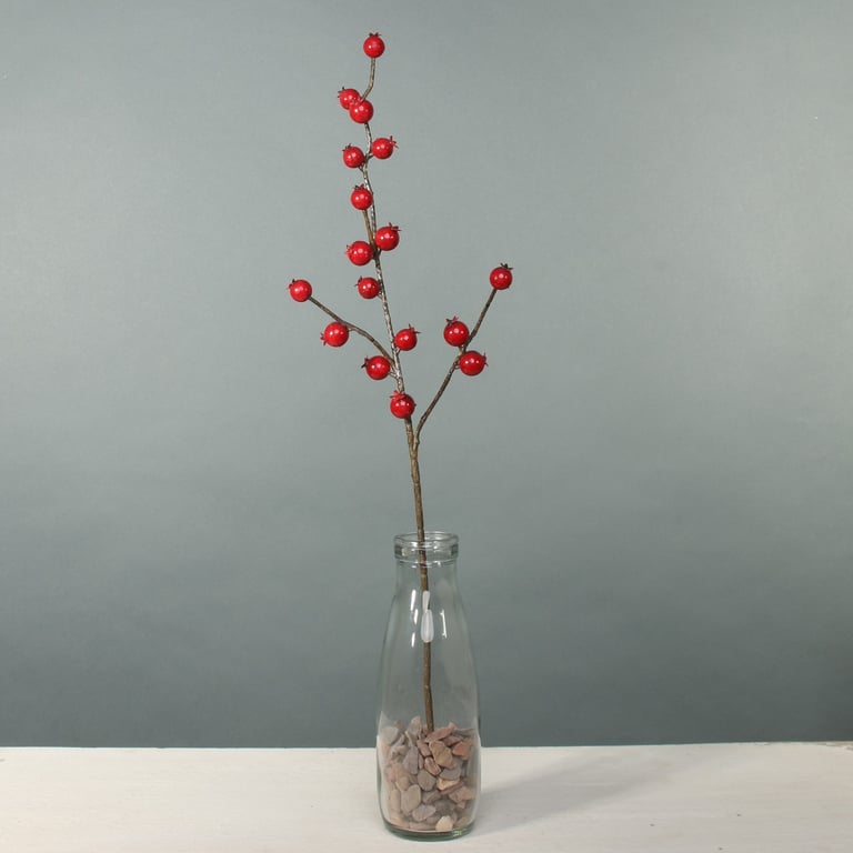 Exterior Rose Hip - Natural Floral Wall Hanging for Home Beautification and Garden Decor