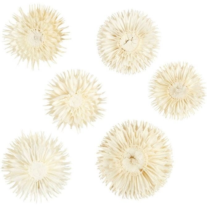 Dried Flower Heads - Elegant Home Decor and Wedding Floral Arrangements