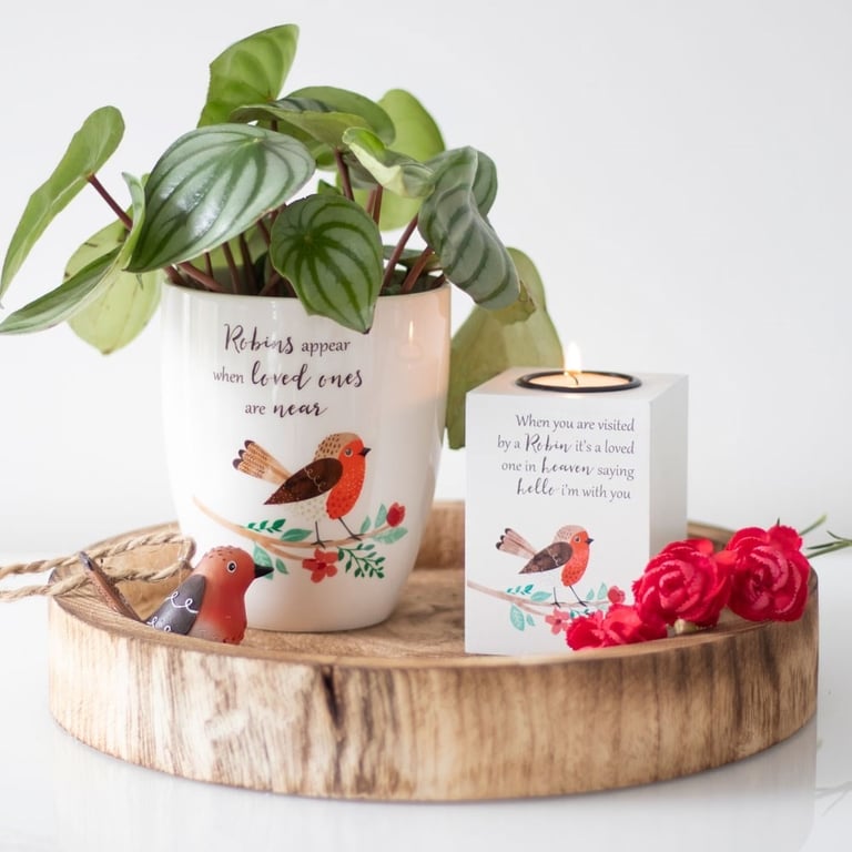 Winter Robin Ceramic Indoor Plant Container - Home Garden Decor