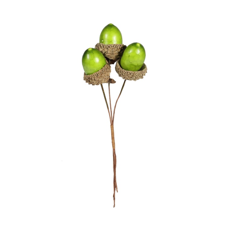 Green Acorn Pick - Harvesting Tool for Home Decor and Garden Collection