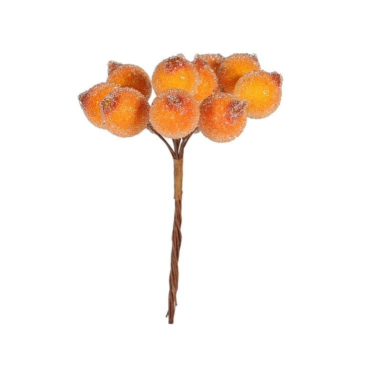 Frosted Berry Bunch - Fresh Orange Decor for Home & Garden