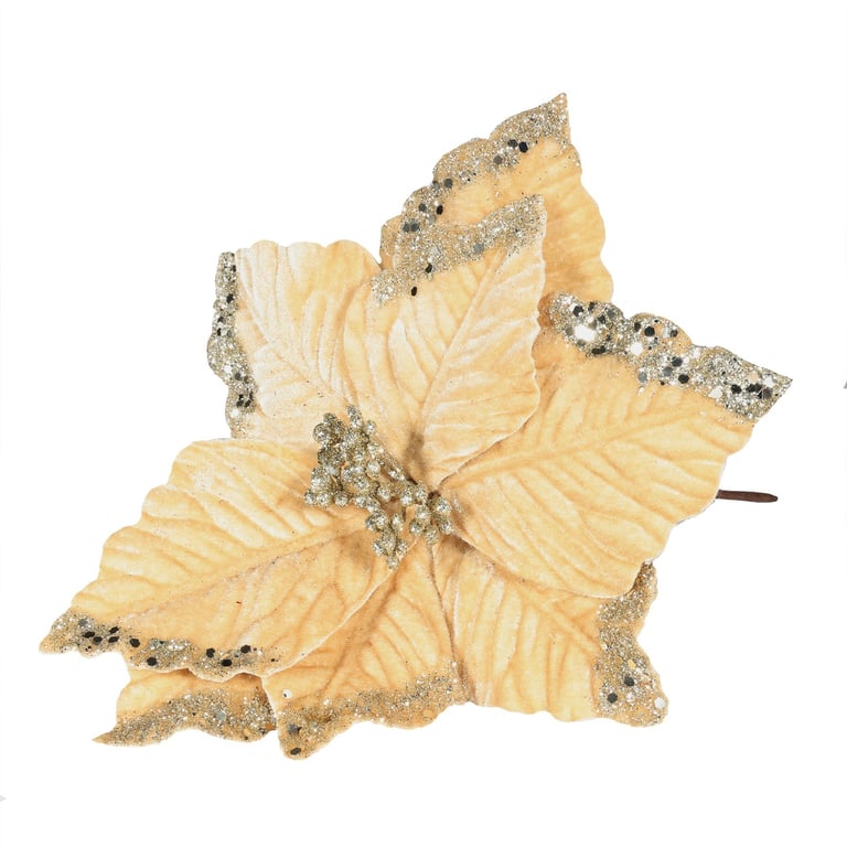 Champagne Velvet Poinsettia with Glitter Edge - 24cm Holiday Decor