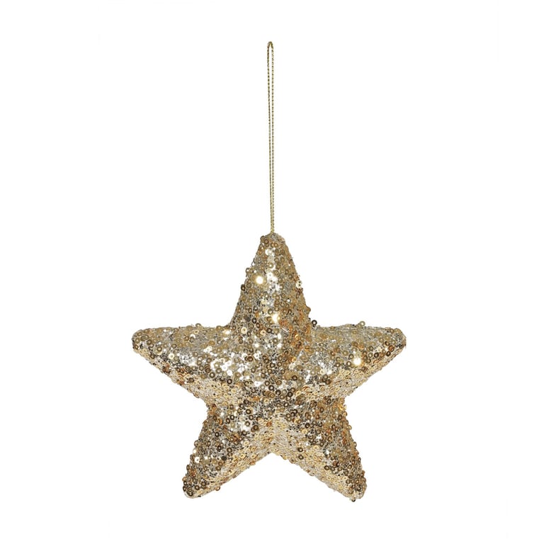 Gold Hanging Star Decoration - 15cm Home and Garden Ornament