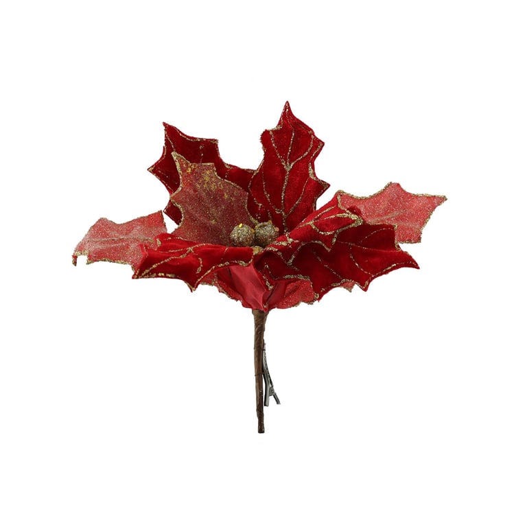 Red Gold Single Poinsettia Plant - Holiday Christmas Decoration Flower Home Decor