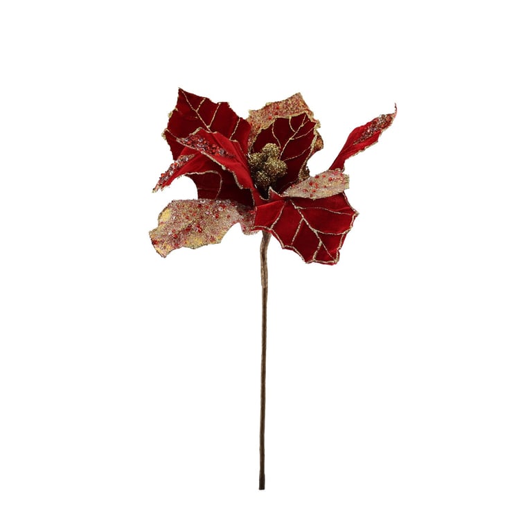 Red & Gold Poinsettia Plant - Vibrant Holiday Decor for Indoor Spaces