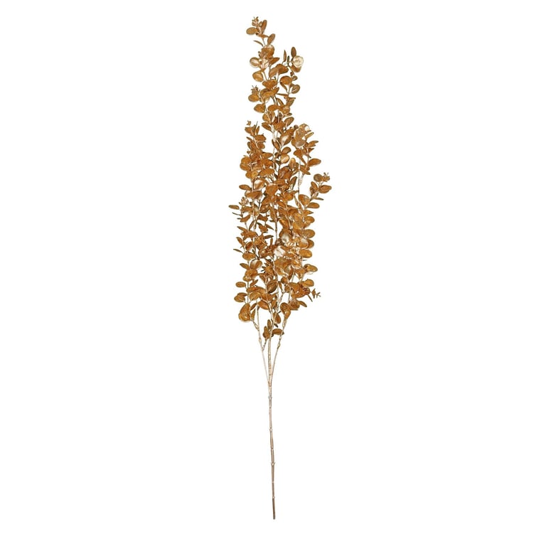 Gold Hanging Eucalyptus - Natural Indoor Wall Decoration with Elegant Gold Accents