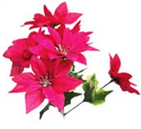 Red Poinsettia Bush - Vibrant Holiday Plant for Home Decor & Indoor Decoration