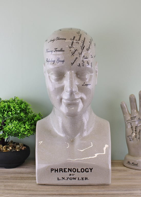 Large Ceramic Phrenology Head - 42cm Model with Ancient Greek Quote and Measurement Sections