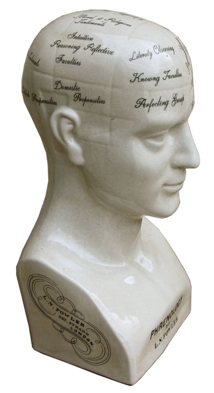 Large Ceramic Phrenology Head - 42cm Model with Ancient Greek Quote and Measurement Sections