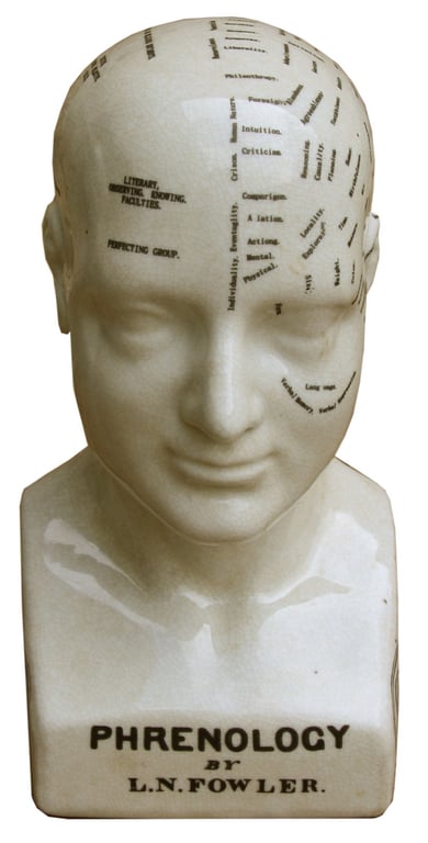 Medium Ceramic Phrenology Head - Ancient Knowledge in a Unique Home Decor Piece