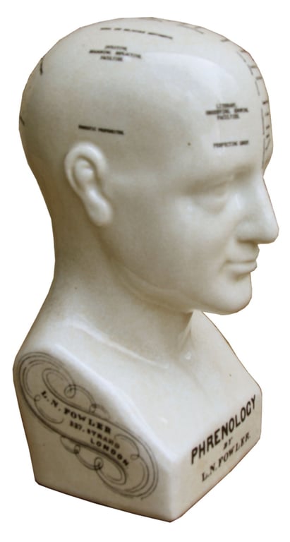 Medium Ceramic Phrenology Head - Ancient Knowledge in a Unique Home Decor Piece