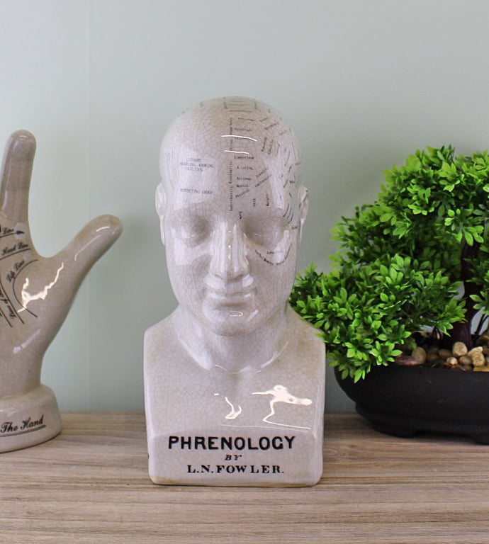 Medium Ceramic Phrenology Head - Ancient Knowledge in a Unique Home Decor Piece