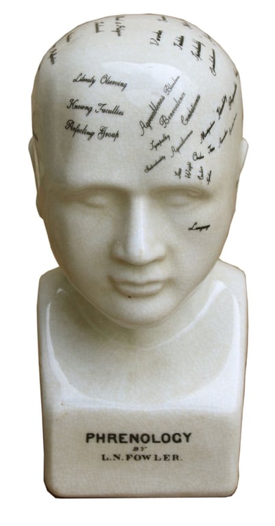 Ceramic Phrenology Head - 19cm Skull Model with Fowler Quote and Mental Traits Guide
