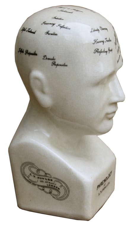 Ceramic Phrenology Head - 19cm Skull Model with Fowler Quote and Mental Traits Guide
