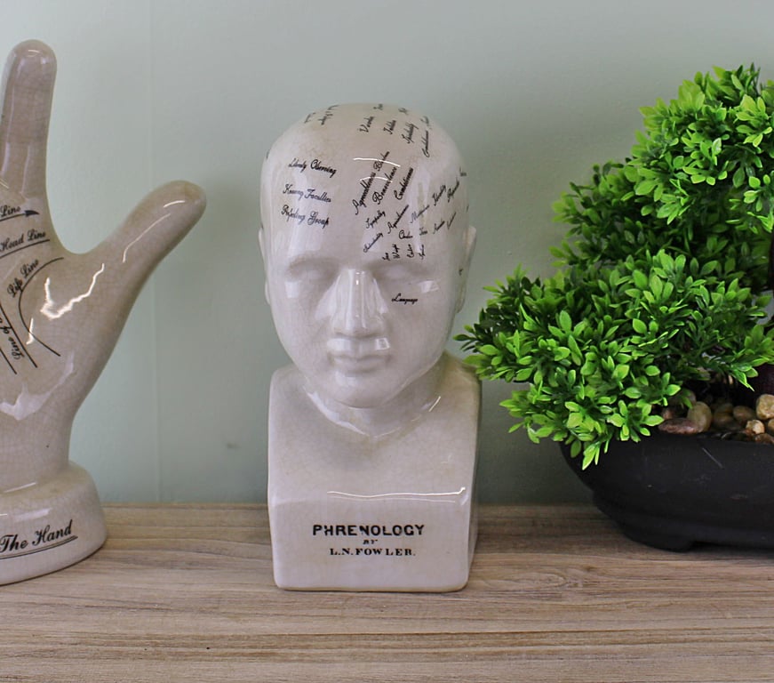 Ceramic Phrenology Head - 19cm Skull Model with Fowler Quote and Mental Traits Guide