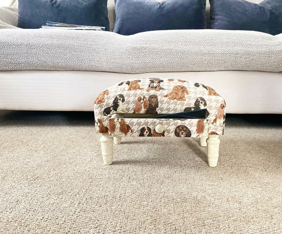 Dog Fabric Footstool with Drawer - Storage and Stylish Dog Furniture
