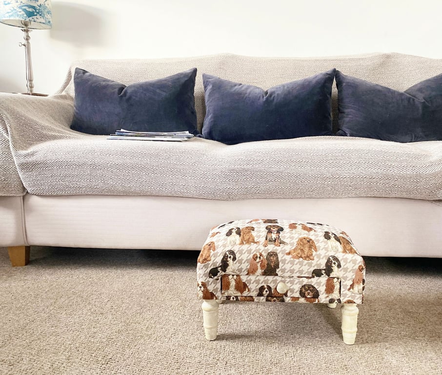 Dog Fabric Footstool with Drawer - Storage and Stylish Dog Furniture