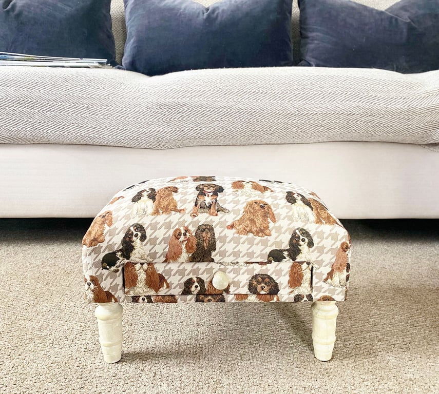 Dog Fabric Footstool with Drawer - Storage and Stylish Dog Furniture