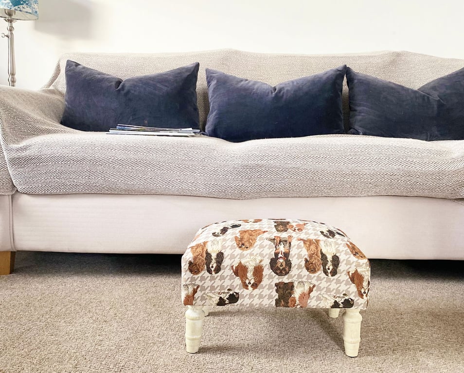 Dog Fabric Footstool with Drawer - Storage and Stylish Dog Furniture