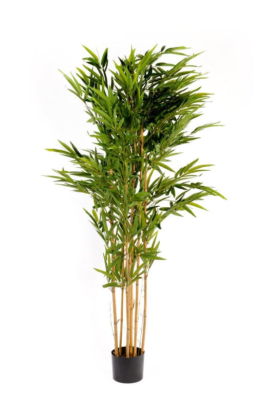 Realistic Artificial 6ft Bamboo Tree - Indoor/Outdoor Decoration, Large Size, Realistic Foliage