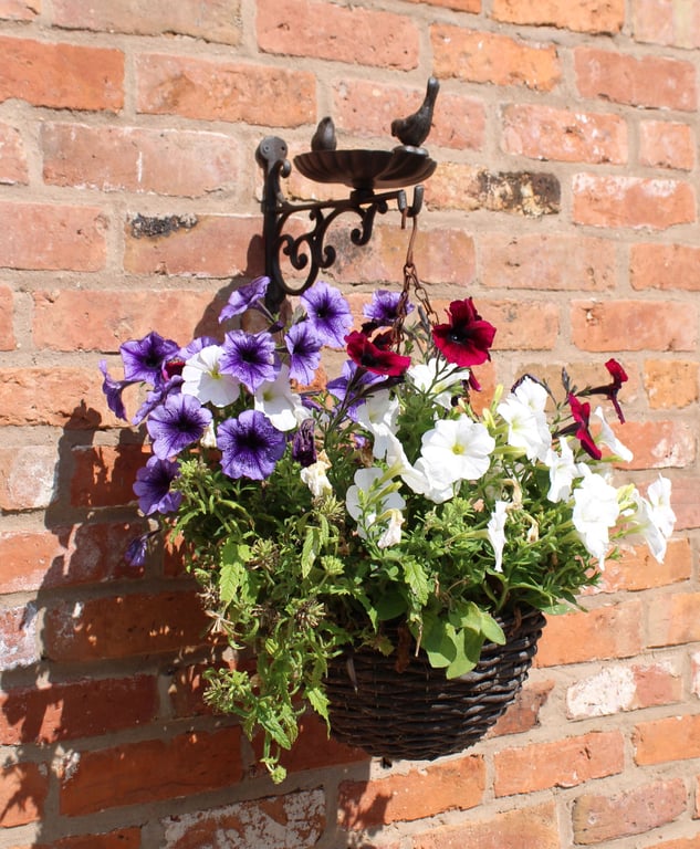 Cast Iron Hanging Basket Wall Bracket with Bird Feeding Station