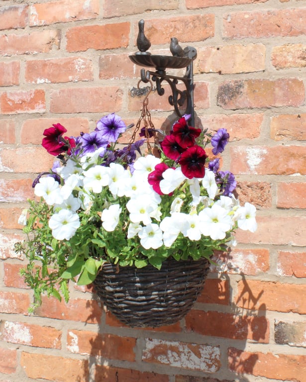 Cast Iron Hanging Basket Wall Bracket with Bird Feeding Station