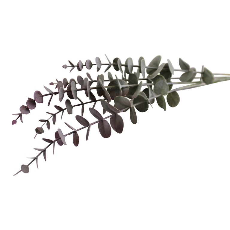 Dried Blush Eucalyptus Spray - Polyurethane Construction for Long Lasting Decor
