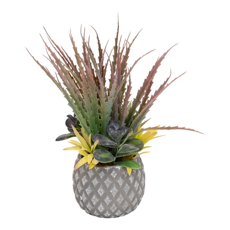 Large Lattice Design Succulent Plant in Grey Pot - Indoor Living Room and Bathroom Decoration