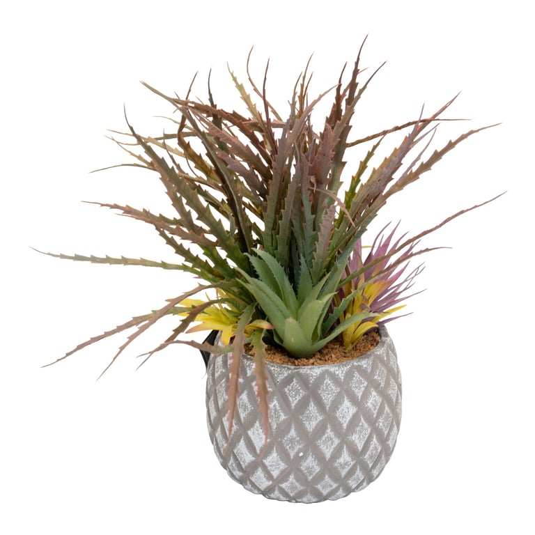 Large Lattice Design Succulent Plant in Grey Pot - Indoor Living Room and Bathroom Decoration