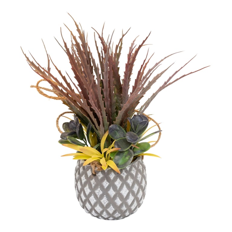 Large Lattice Design Succulent Plant in Grey Pot - Indoor Living Room and Bathroom Decoration