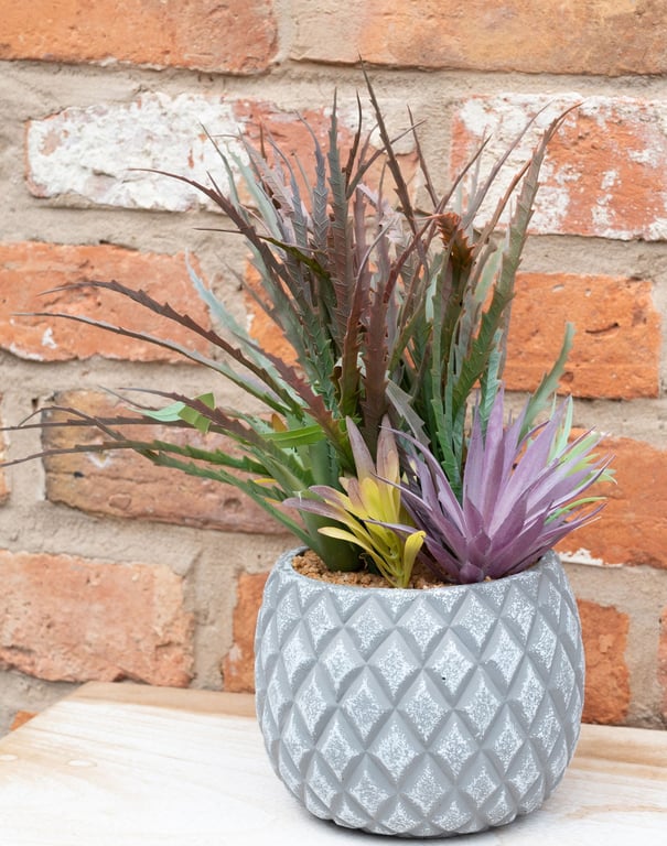 Large Lattice Design Succulent Plant in Grey Pot - Indoor Living Room and Bathroom Decoration