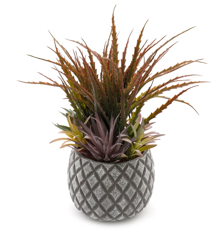 Large Lattice Design Succulent Plant in Grey Pot - Indoor Living Room and Bathroom Decoration