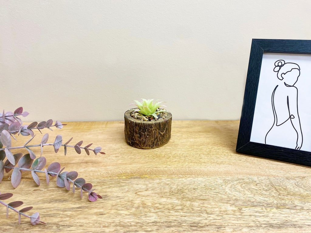 Bark Effect Pot and Faux Succulent - Natural Home Decor for Indoor Spaces
