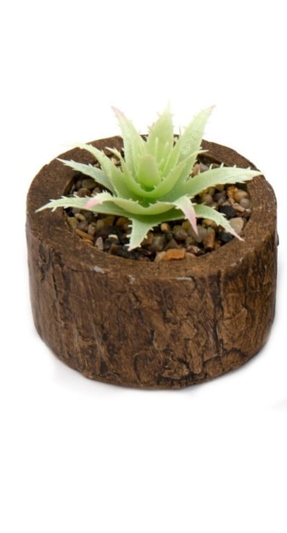 Bark Effect Pot and Faux Succulent - Natural Home Decor for Indoor Spaces