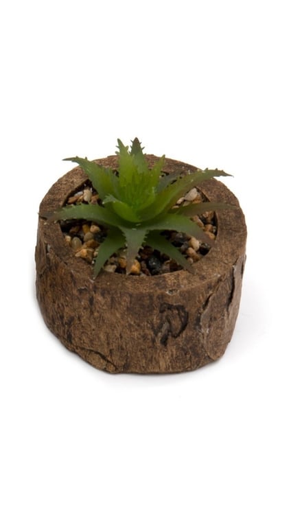 Bark Effect Pot and Faux Succulent - Natural Home Decor for Indoor Spaces