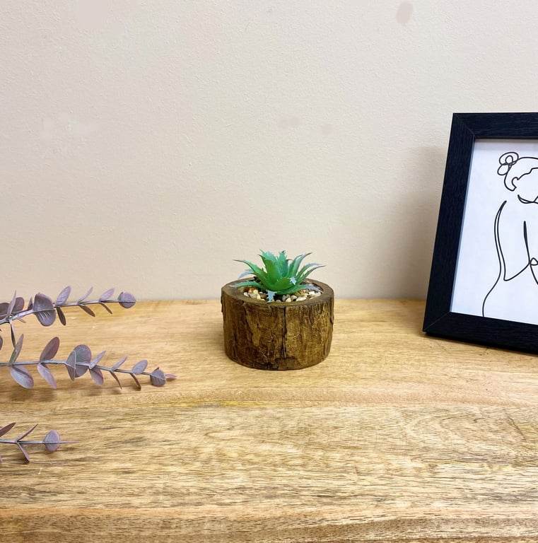 Bark Effect Pot and Faux Succulent - Natural Home Decor for Indoor Spaces