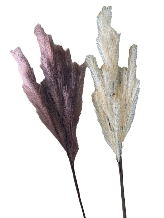 Luxury Artificial Pampas Stem Brown & Cream, 101cm - Bohemian Home Decor