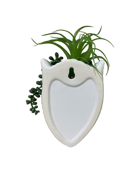 Ceramic Faux Succulent Wall Planter - Gloss Finish, Indoor Decor, Easy Mounting