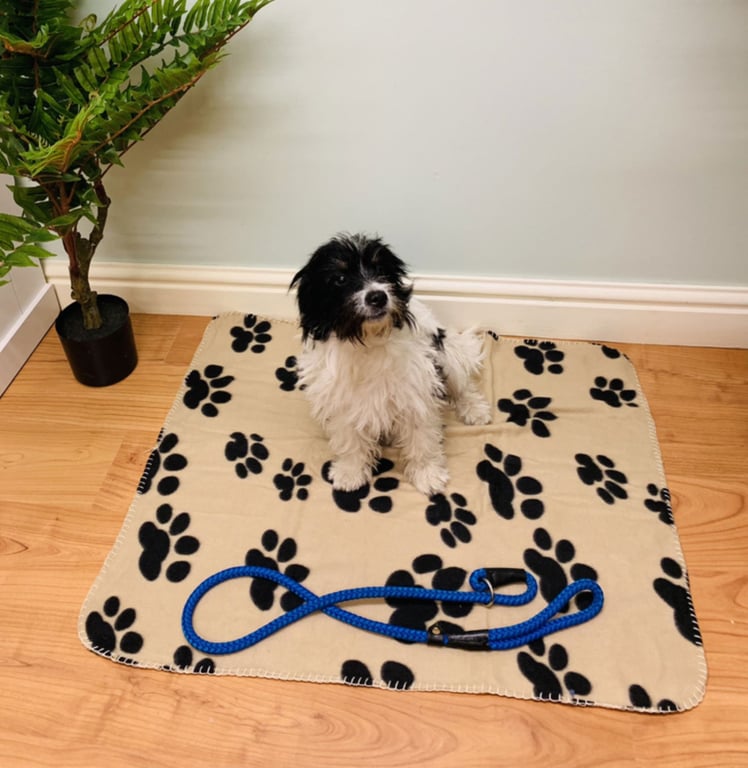 Brown Paw Print Fleece Pet Throw - Soft Snuggle Bed for Your Four Legged Friend