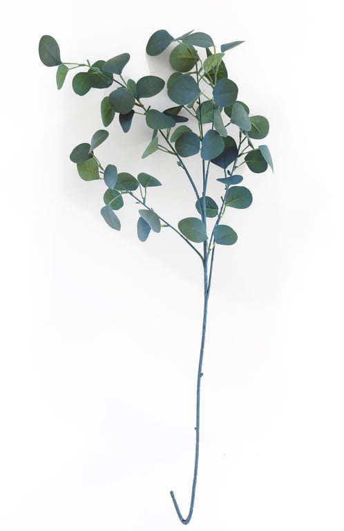 Blue Eucalyptus Decorative Stem - 90cm for Home and Office Display Decoration