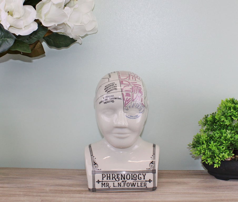 Large Ceramic Phrenology Head - Antique Style Porcelain Model with Knowledge of Bumps on Skull Characteristics