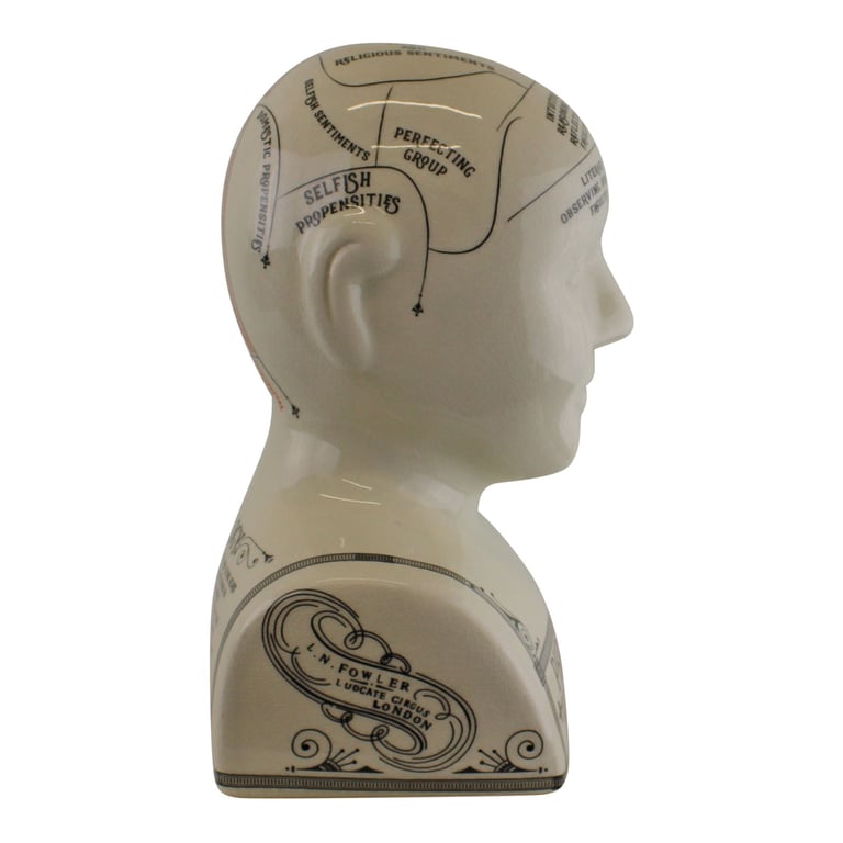 Large Ceramic Phrenology Head - Antique Style Porcelain Model with Knowledge of Bumps on Skull Characteristics