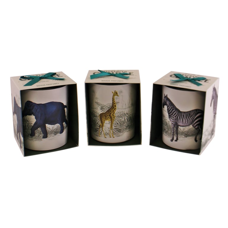 Tropical Safari Candle Set - 3 Fragranced Candles in Elephant, Giraffe & Zebra Designs
