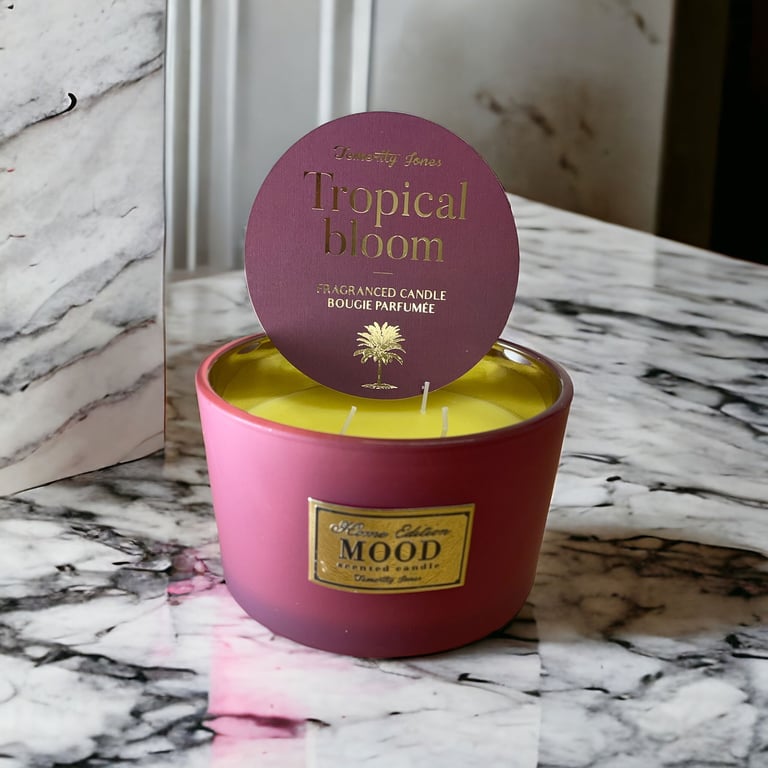 Luxury 3 Wick Scented Candles - Large Home Fragrance Ambient Lighting Pack of 2